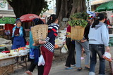 Dali Ancient Town Ecotour in Yunnan Southwest China